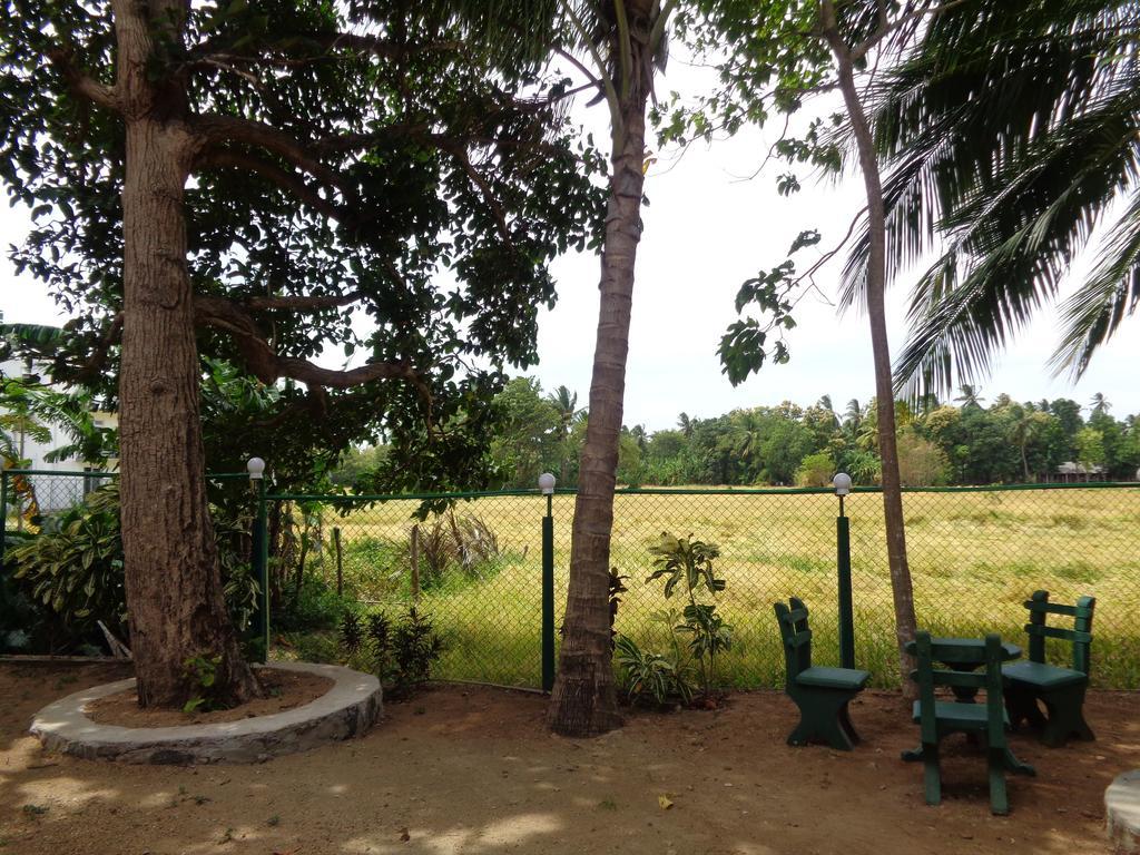 Man Guest Polonnaruwa Hotel Bagian luar foto