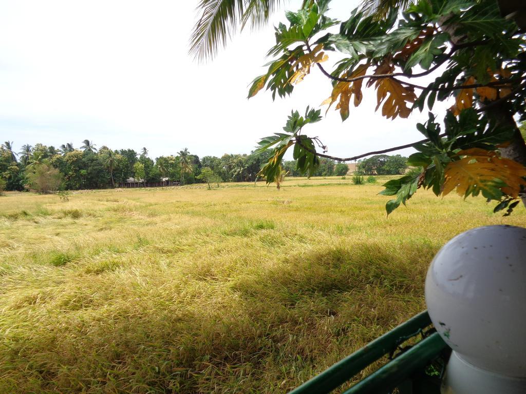 Man Guest Polonnaruwa Hotel Bagian luar foto